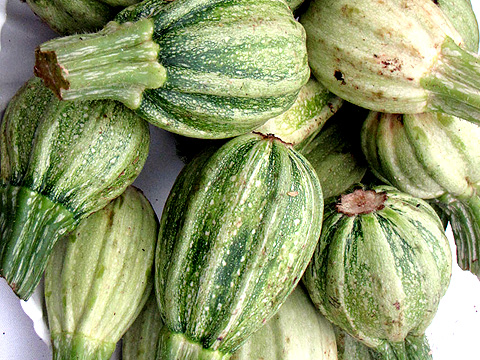 Calabacita