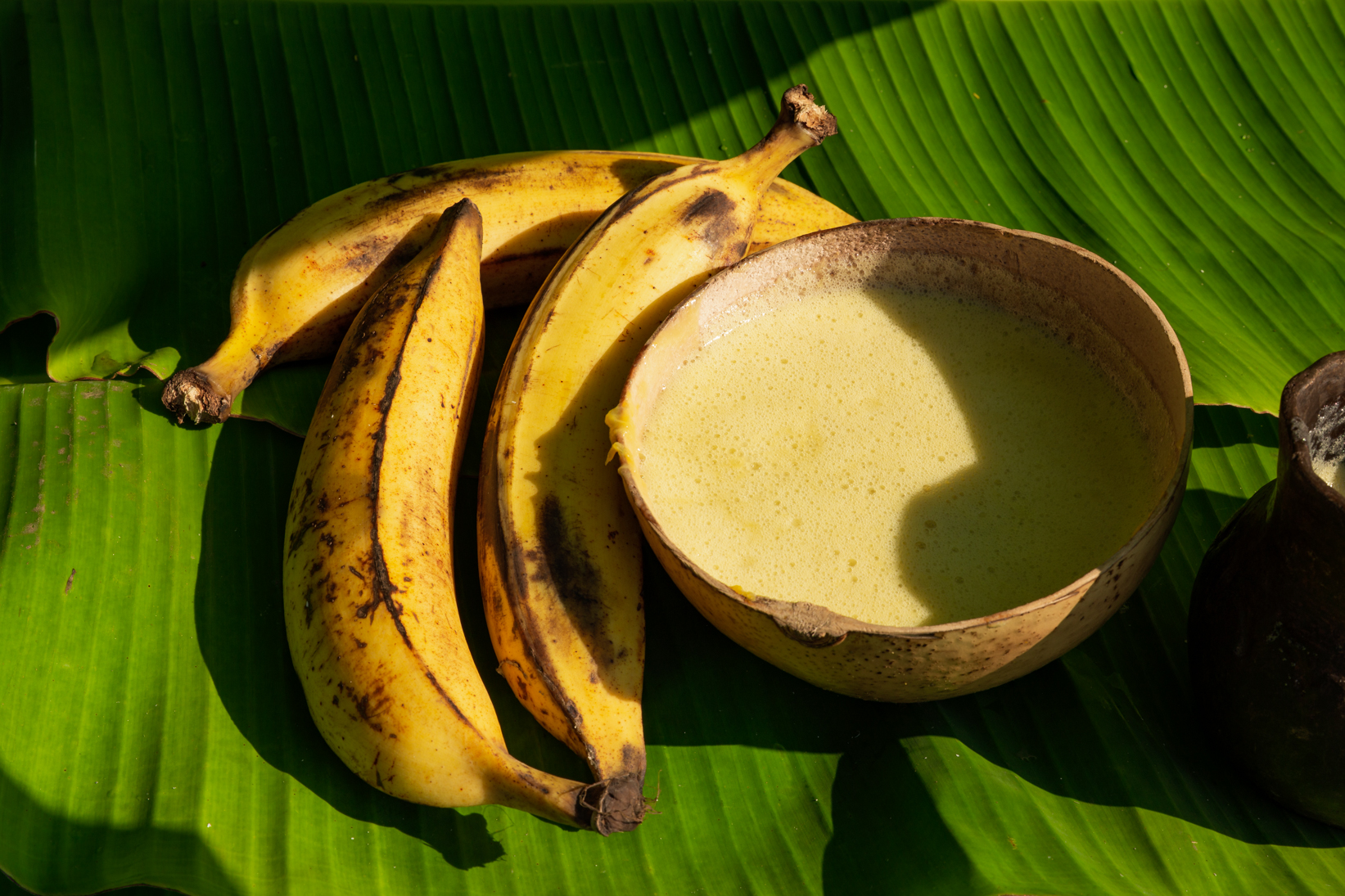 Atole de plátano MG_7908
