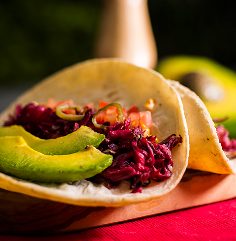 Tacos de jamaica 480x490-tacosjamaica