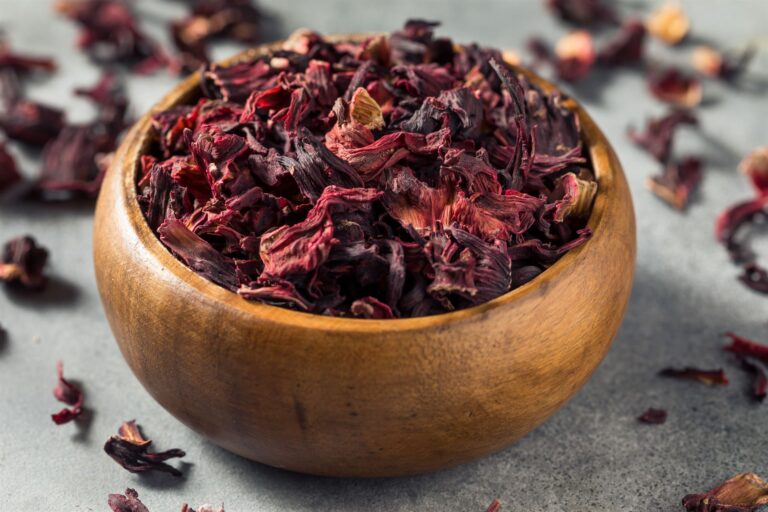 Beneficios de utilizar la flor de jamaica en tu salud